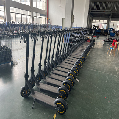 elektrische Roller 500w LCD-Geschwindigkeits-Batterie-Lichtregelungs-Aluminiumscheibenbremse
