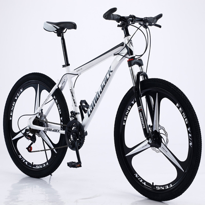 Geschwindigkeits-justierbare Aluminiummountainbike Unfoldable