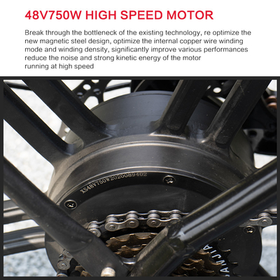 Geschwindigkeit variables der Geschwindigkeits-13Ah 48V Lithium-elektrische des Fahrrad-21