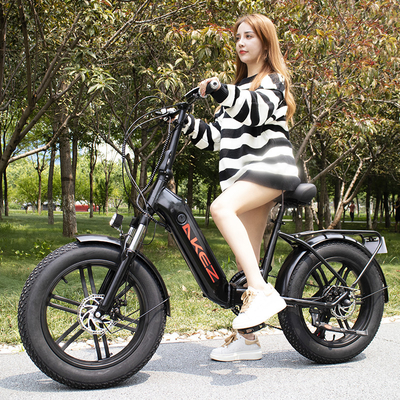 Die Lithium-Batterie-elektrisches Fahrrad-intelligenter schwanzloser Prüfer der Frauen